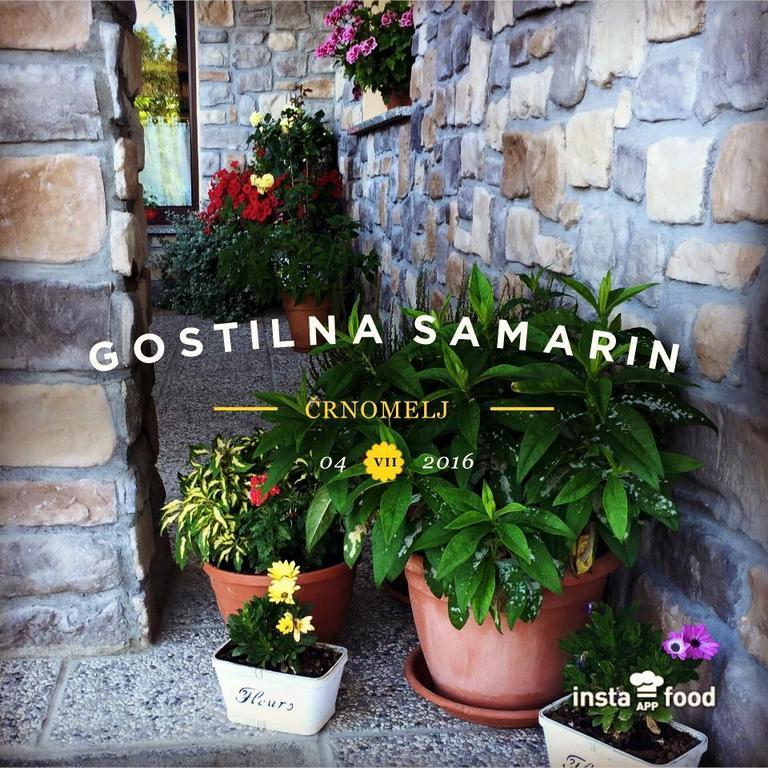 Hotel Samarin Črnomelj Екстериор снимка